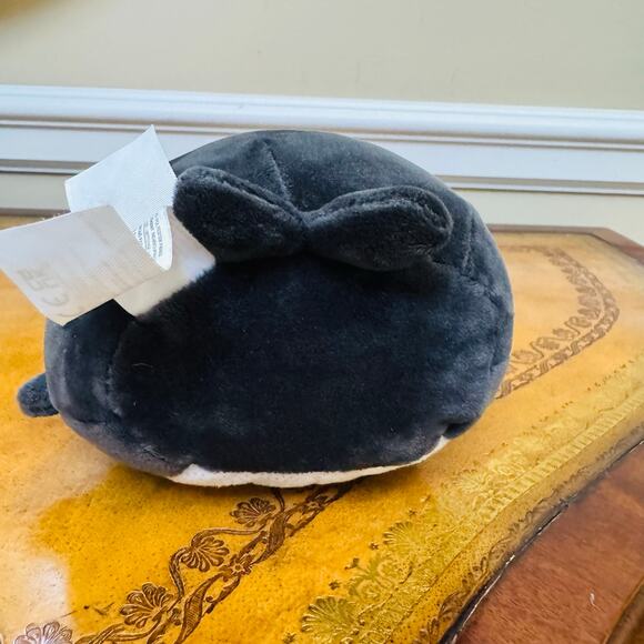 Kai the Black Orca Whale Squishmallows Stuffed 5" Plush Kellytoy NEW - Picture 3 of 6